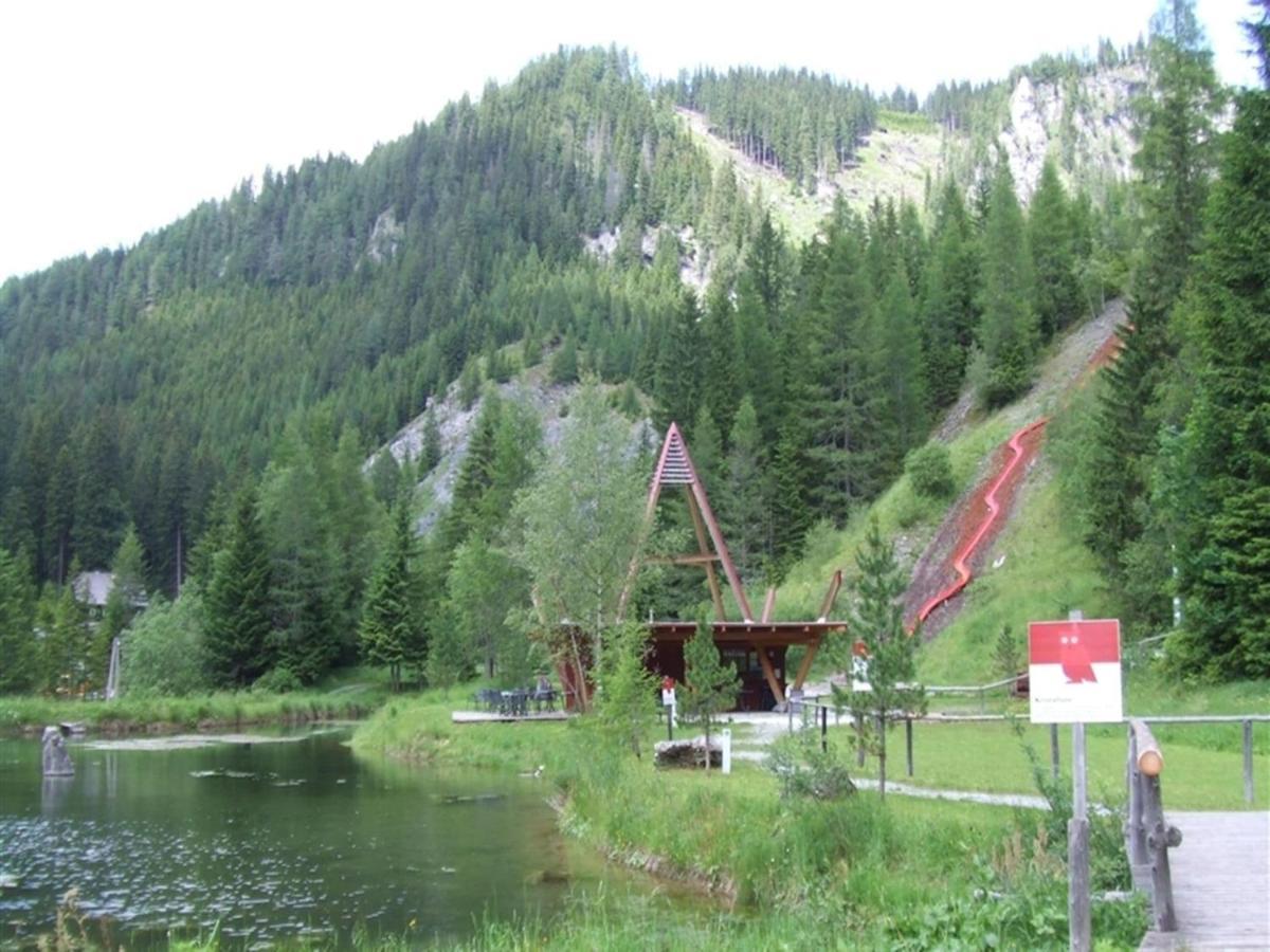 Chalet In Hohentauern With In House Wellness Exteriör bild