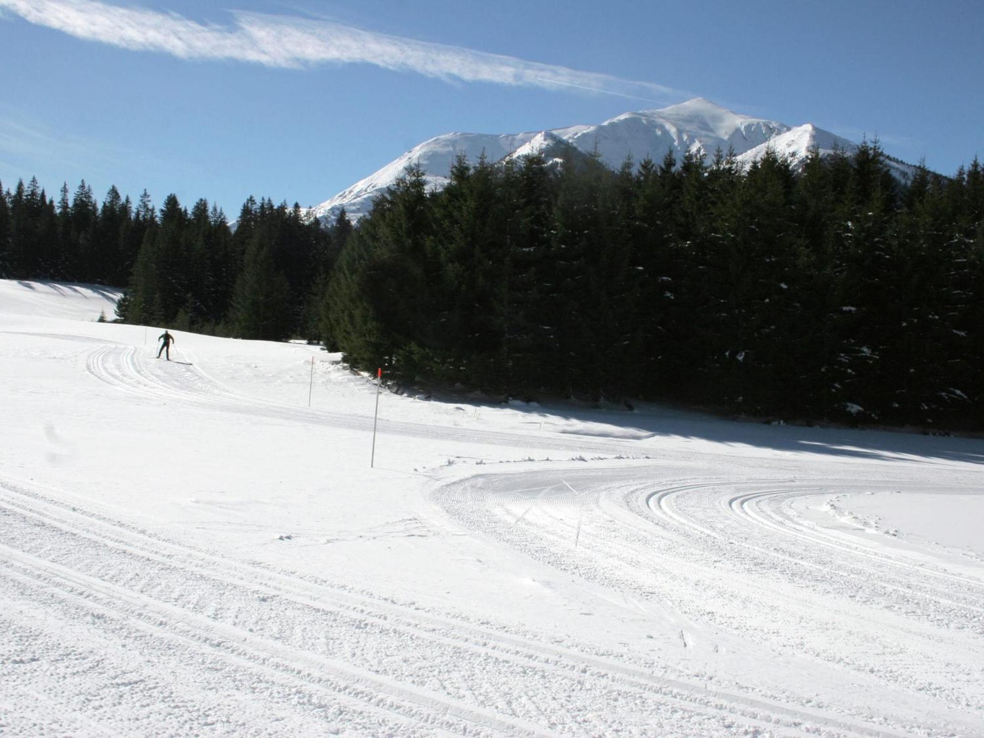 Chalet In Hohentauern With In House Wellness Exteriör bild